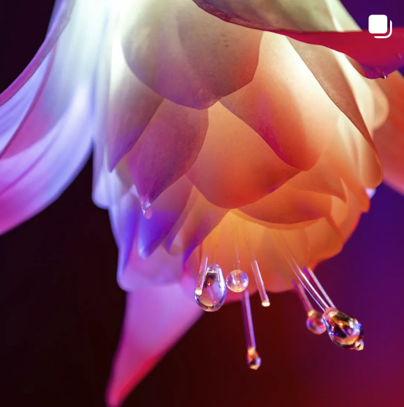 d143fa56047ba9c8ddab7379ff985e568df5aefa